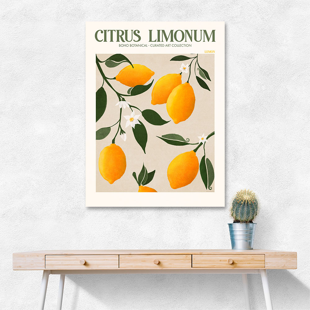 Citrus Limonum