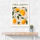 Citrus Limonum