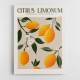 Citrus Limonum