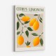 Citrus Limonum