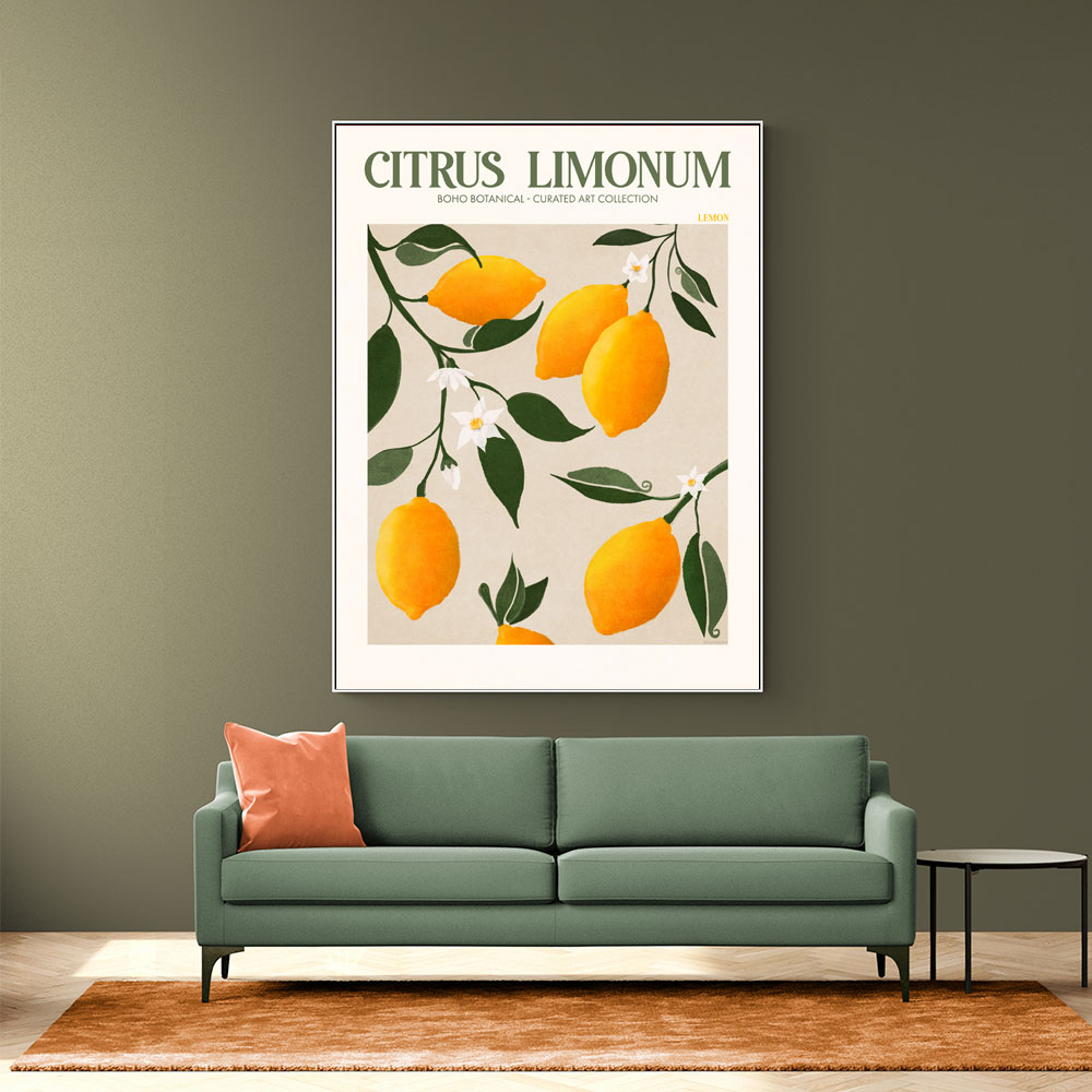 Citrus Limonum