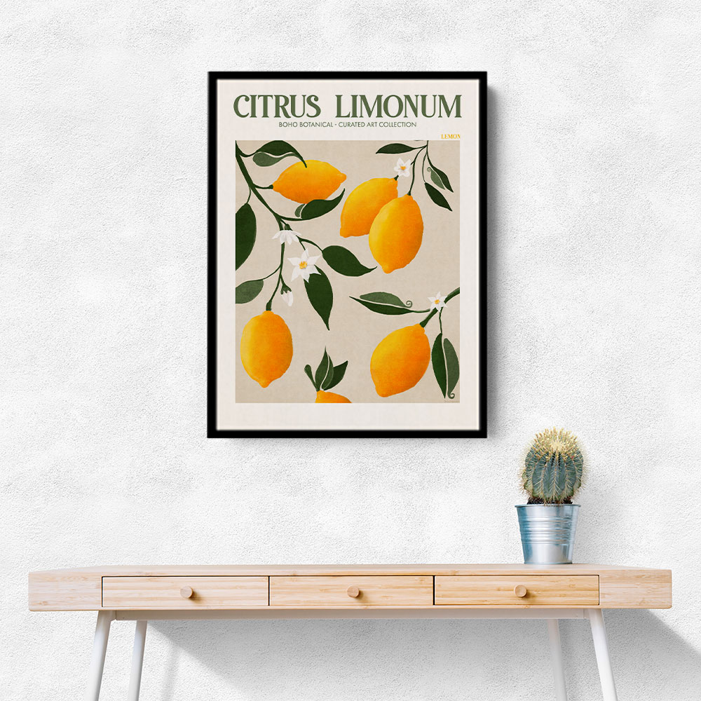 Citrus Limonum