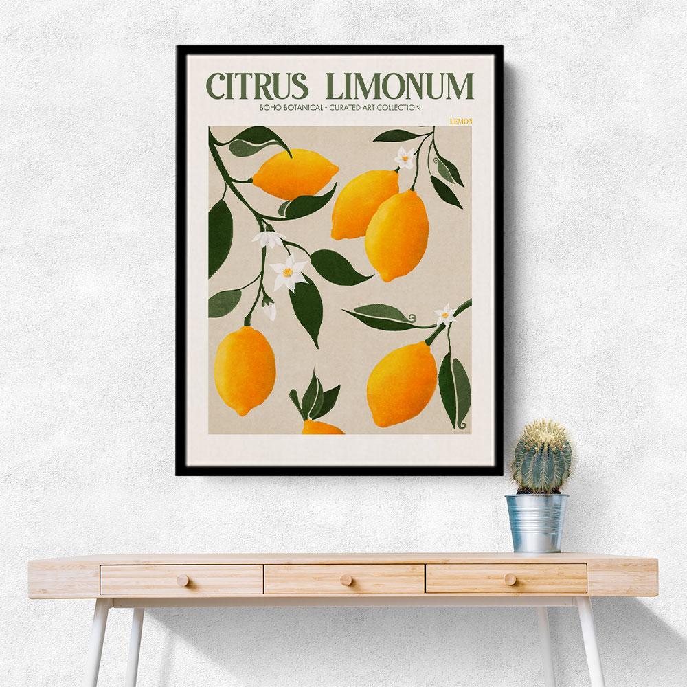 Citrus Limonum