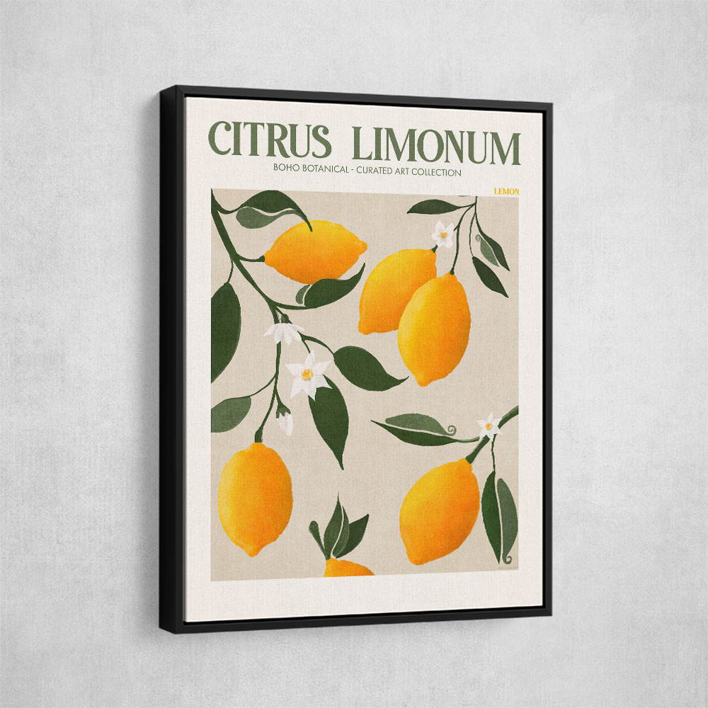 Citrus Limonum