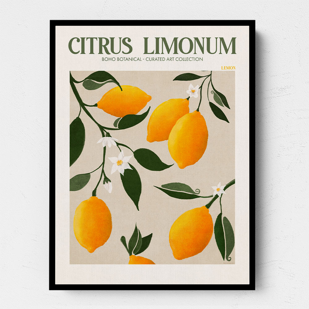 Citrus Limonum