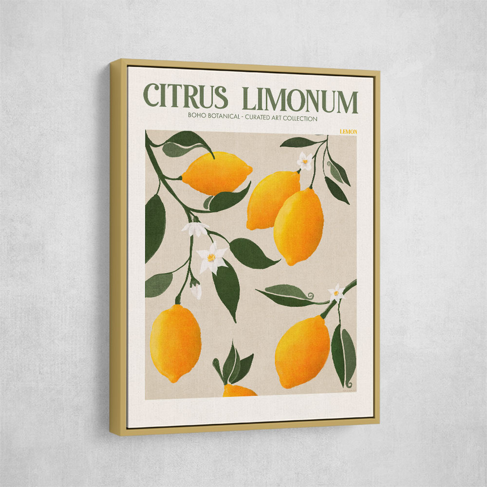 Citrus Limonum