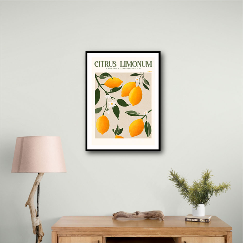 Citrus Limonum