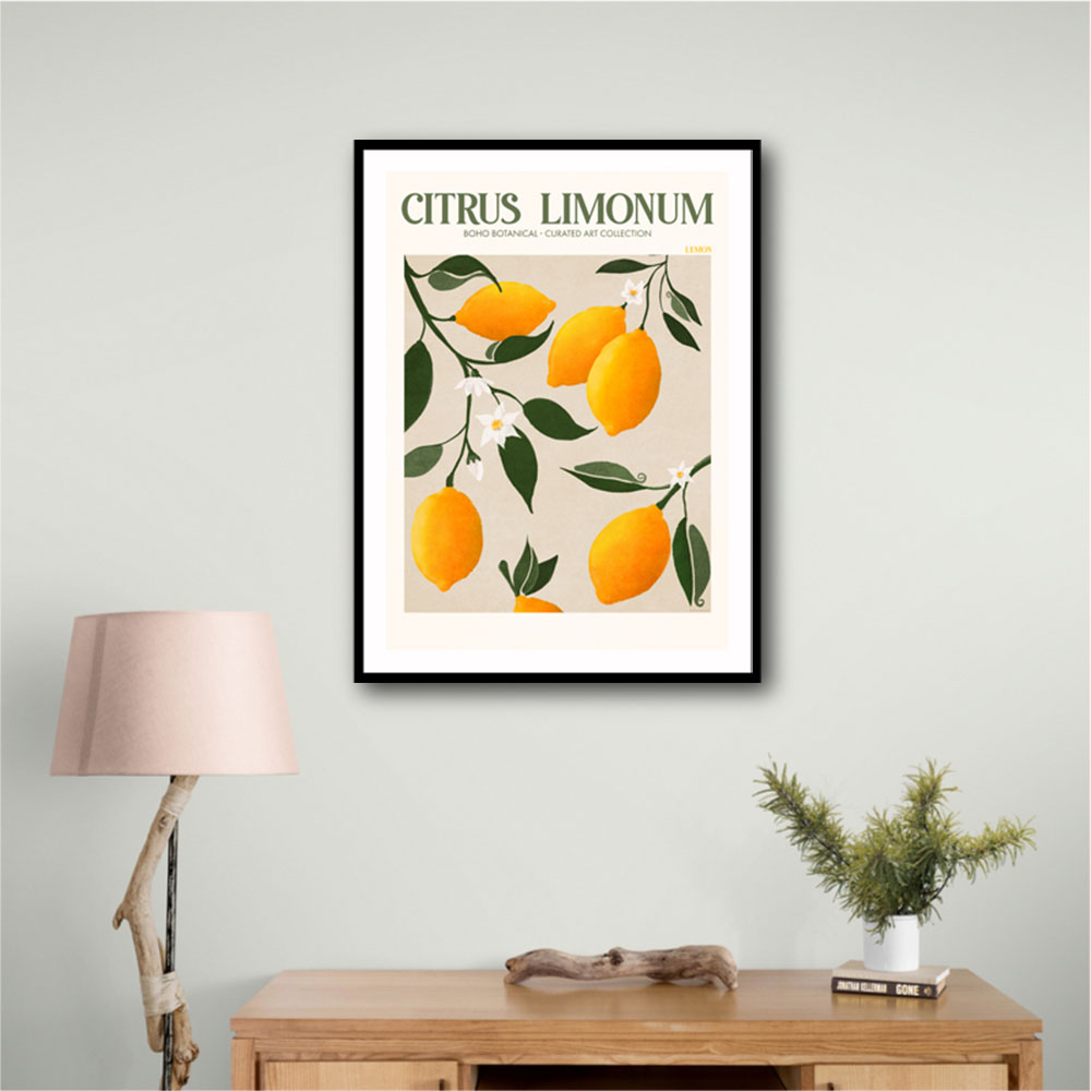 Citrus Limonum