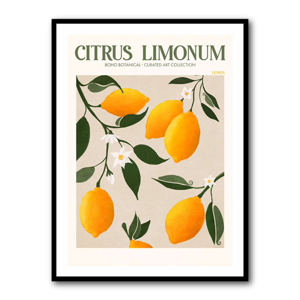 Citrus Limonum