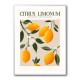 Citrus Limonum