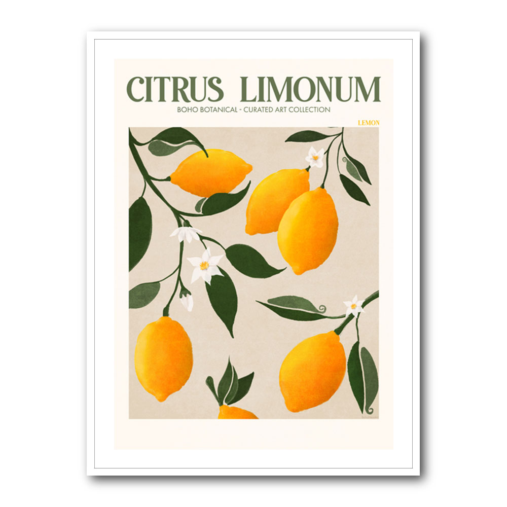 Citrus Limonum