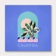 Green Sets Calathea