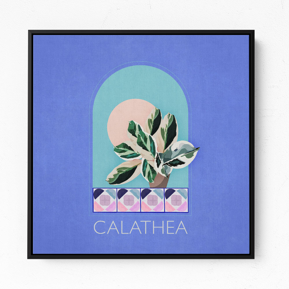 Green Sets Calathea