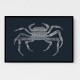 Crab Blue Poster Blue