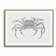 Crab Grey Poster Grey