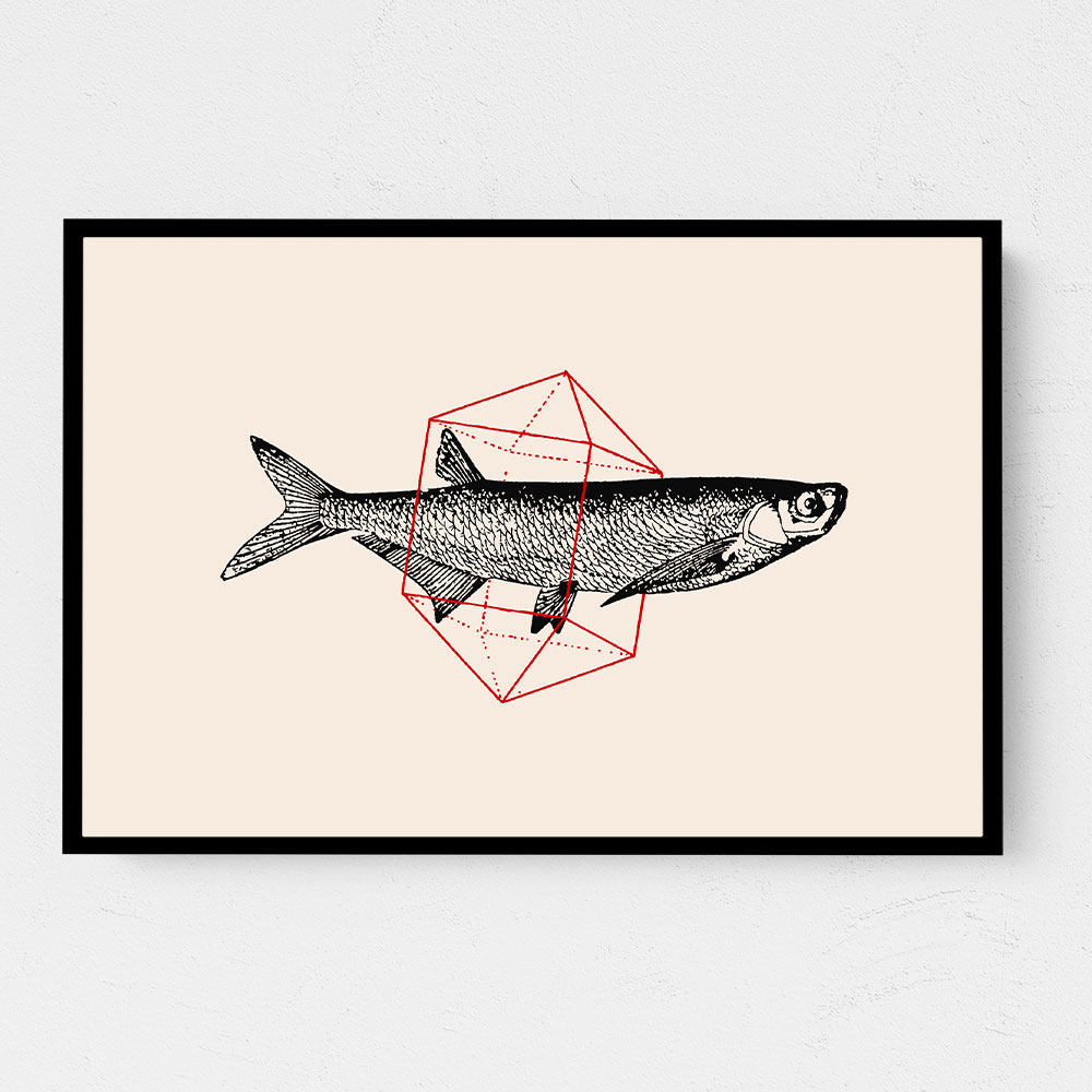 Fish In Geometrics NAo2