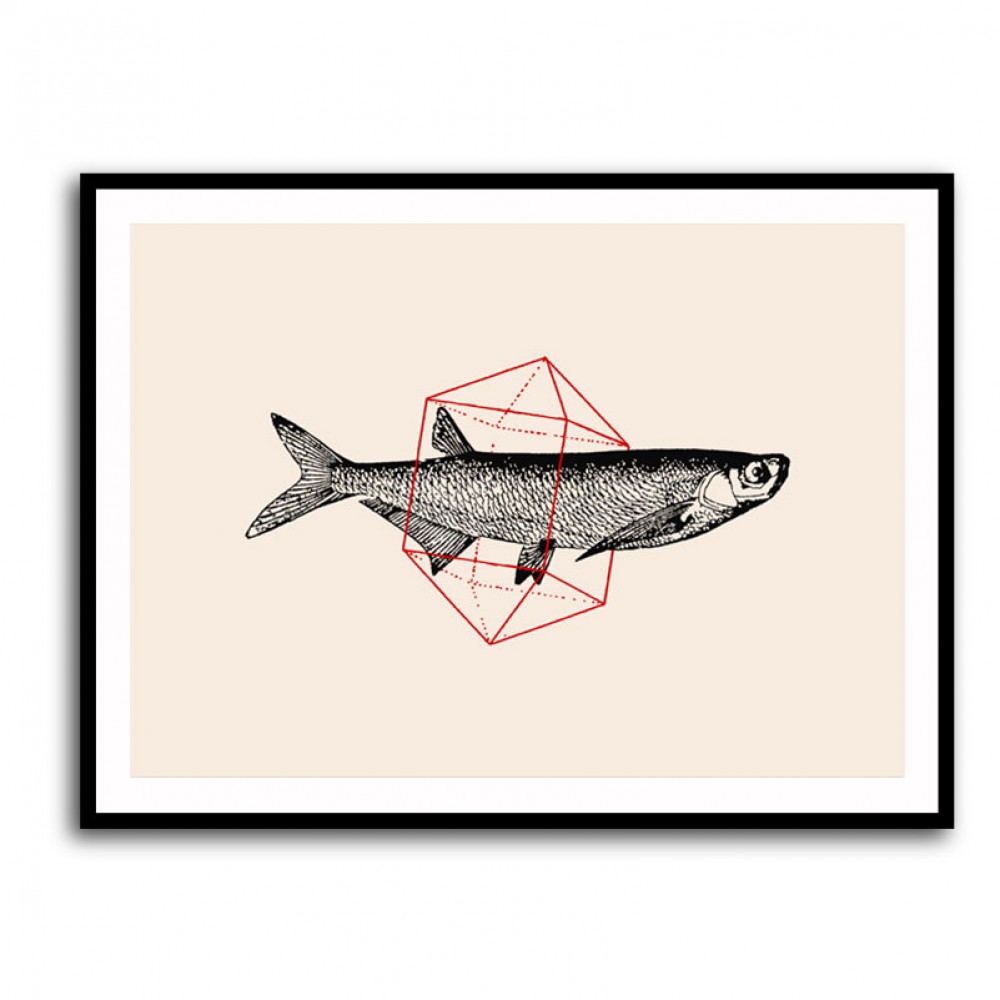 Fish In Geometrics NAo2