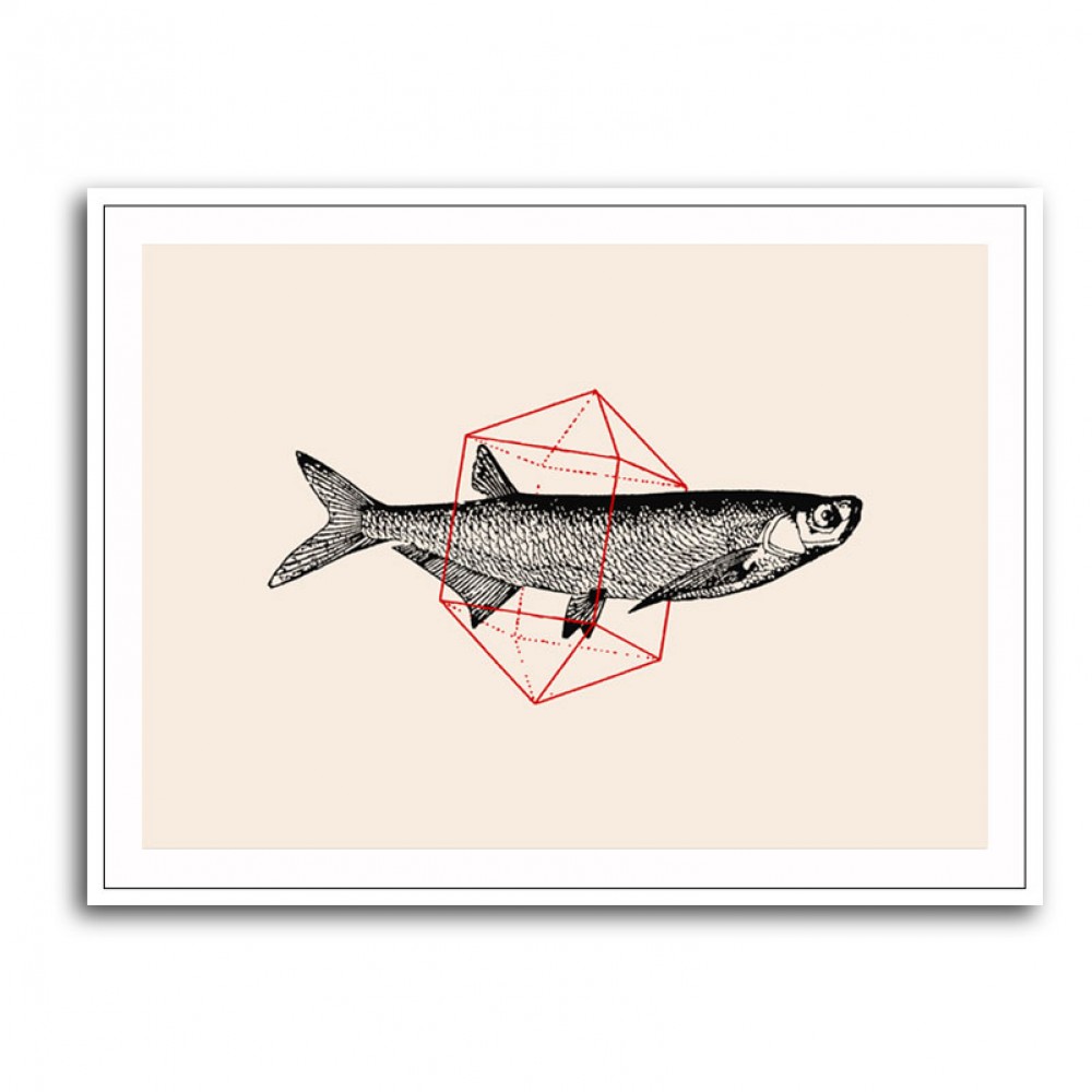 Fish In Geometrics NAo2