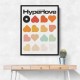 Hyperlove Print