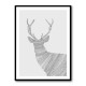 Stag Grey