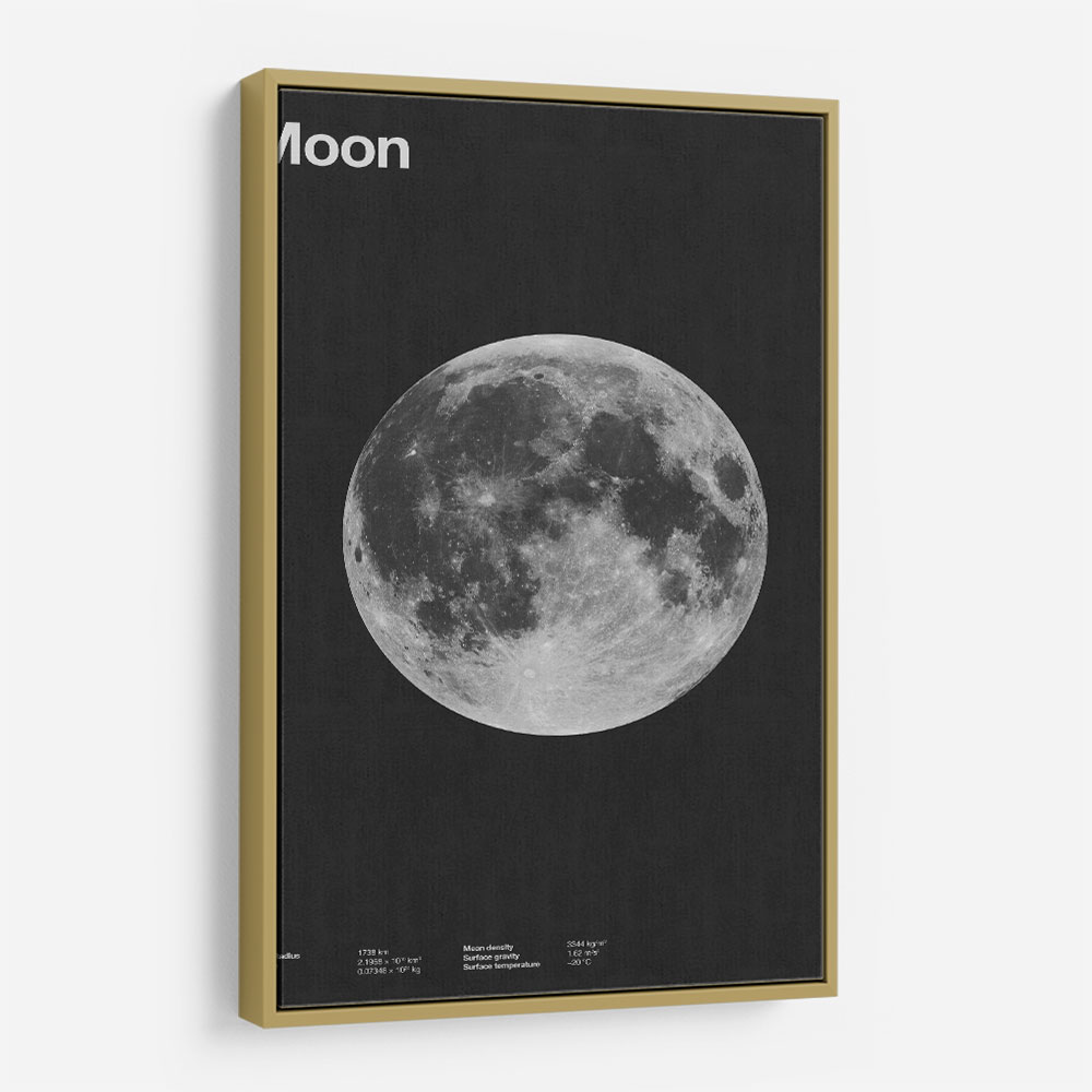 Solar System Moon