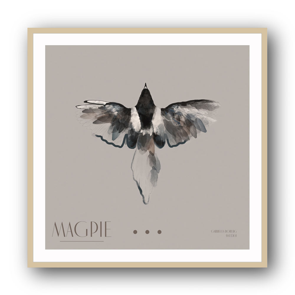 Magpie