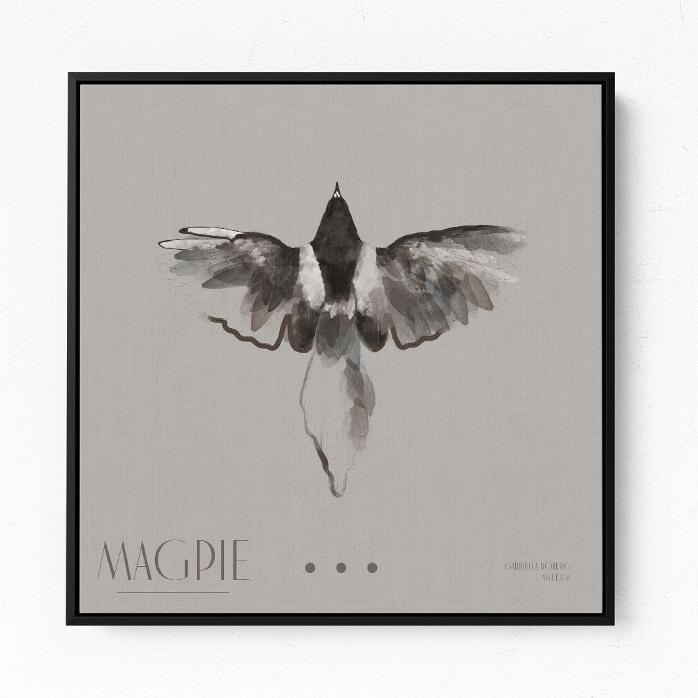 Magpie II