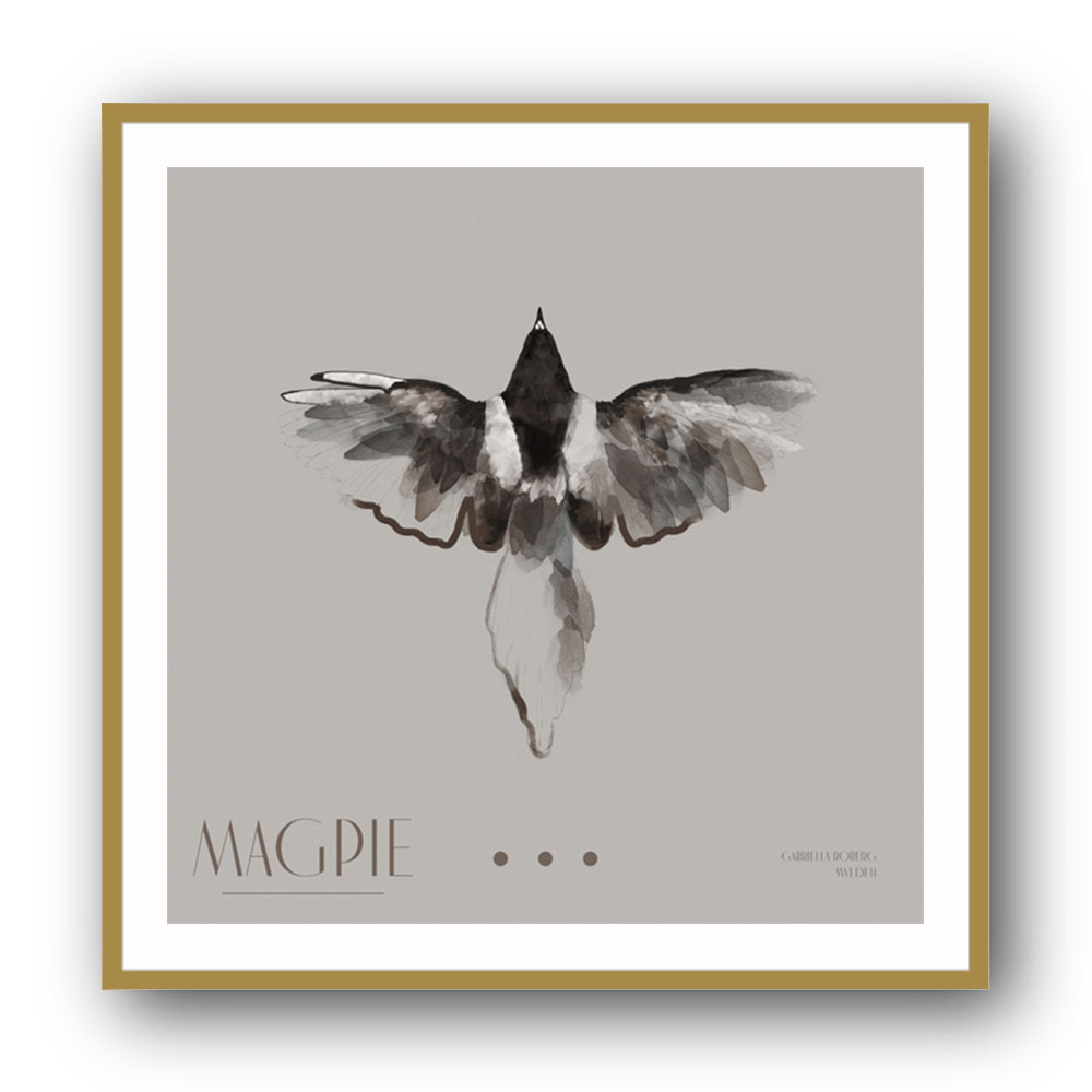 Magpie II