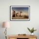 Life Of The Desert Wall Art