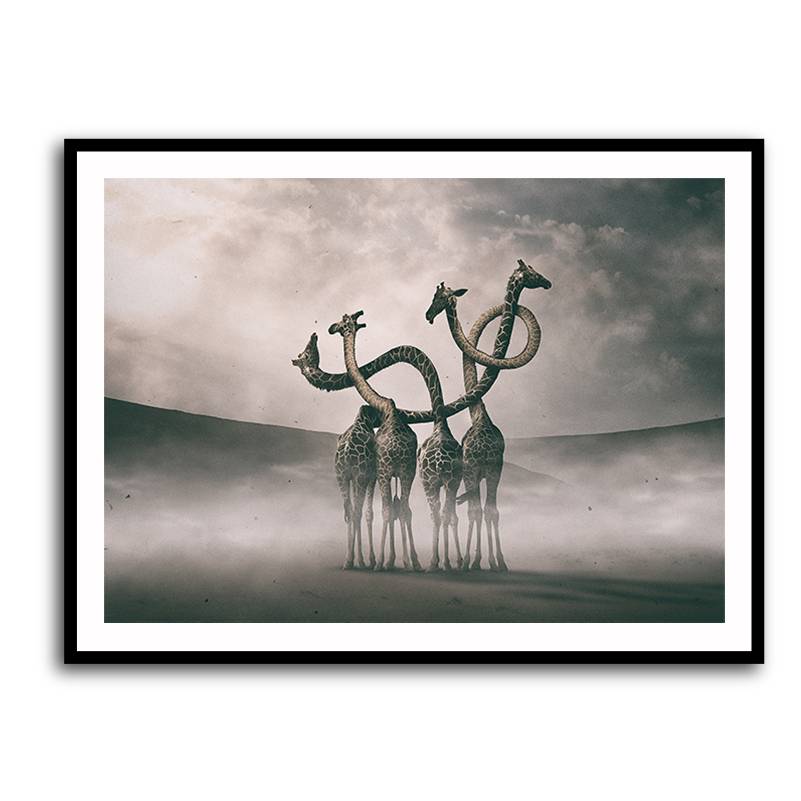 Framed Print 