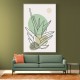  Color Abstract Agave #3 Wall Art