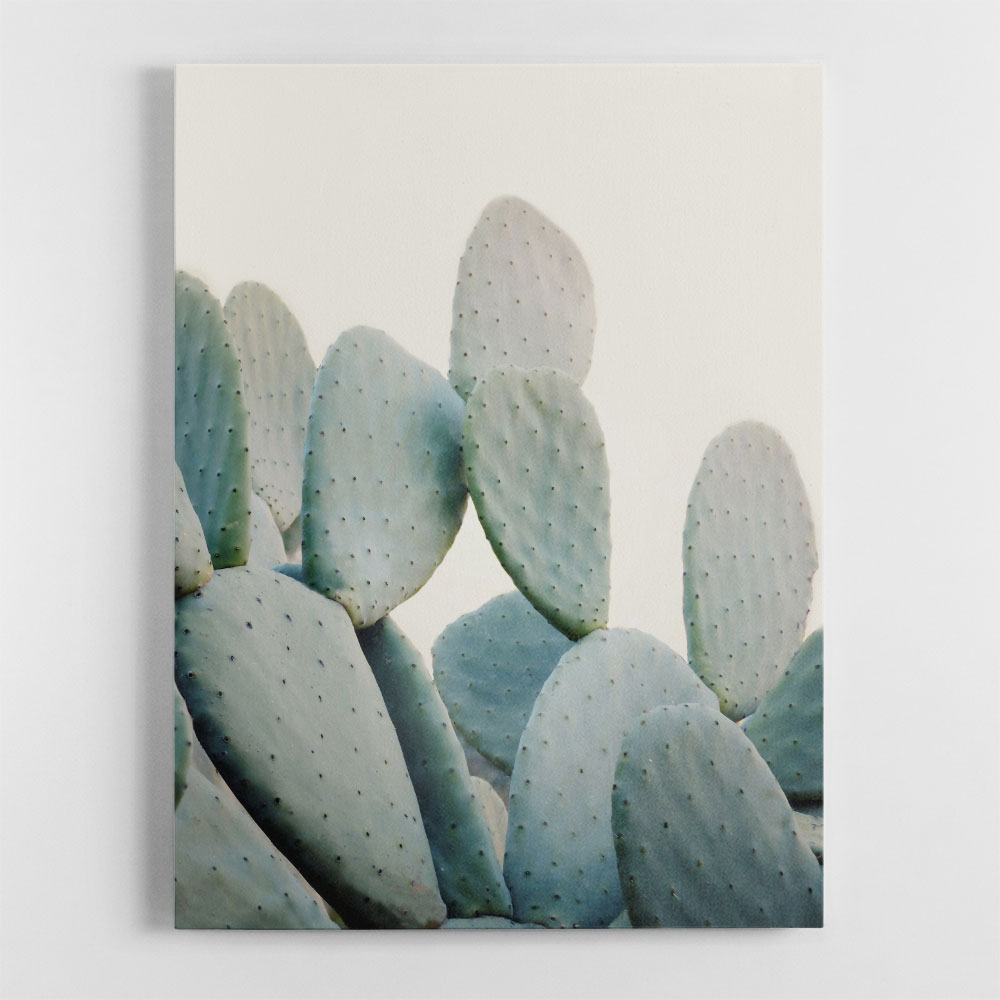 Pastel Cacti