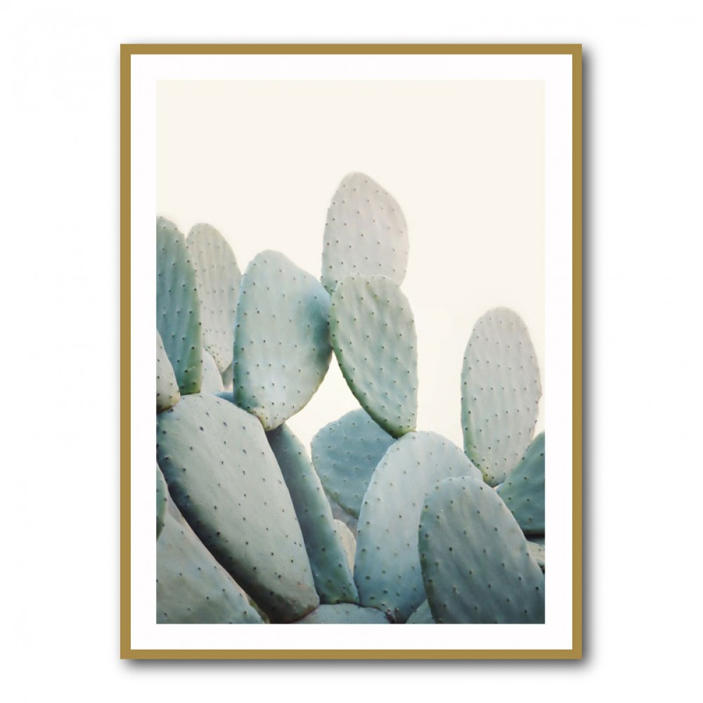 Pastel Cacti