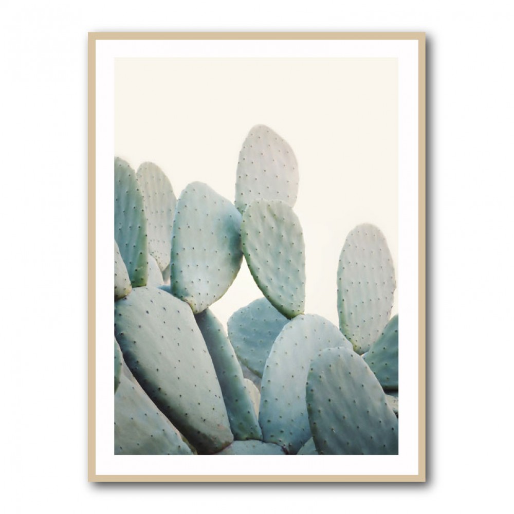 Pastel Cacti