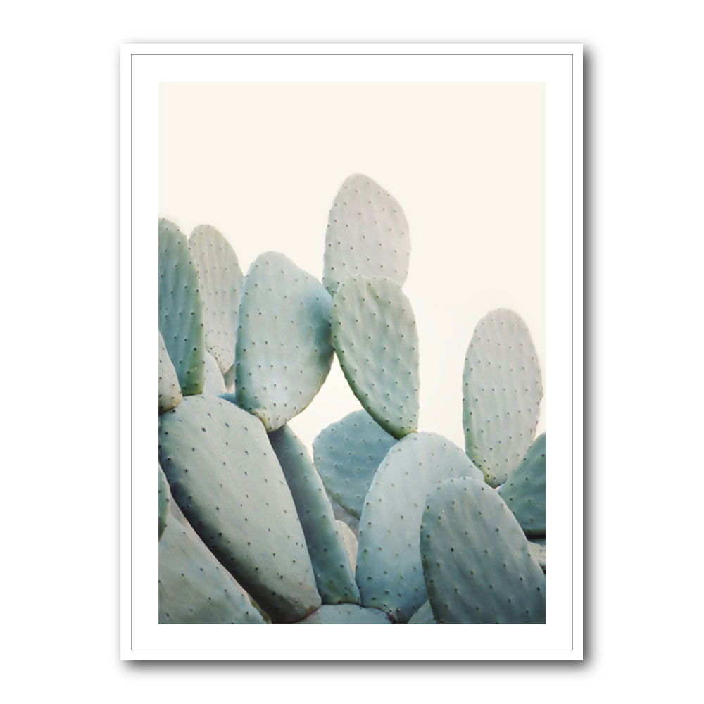 Pastel Cacti