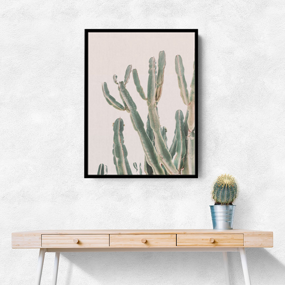 Sunrise Cactus