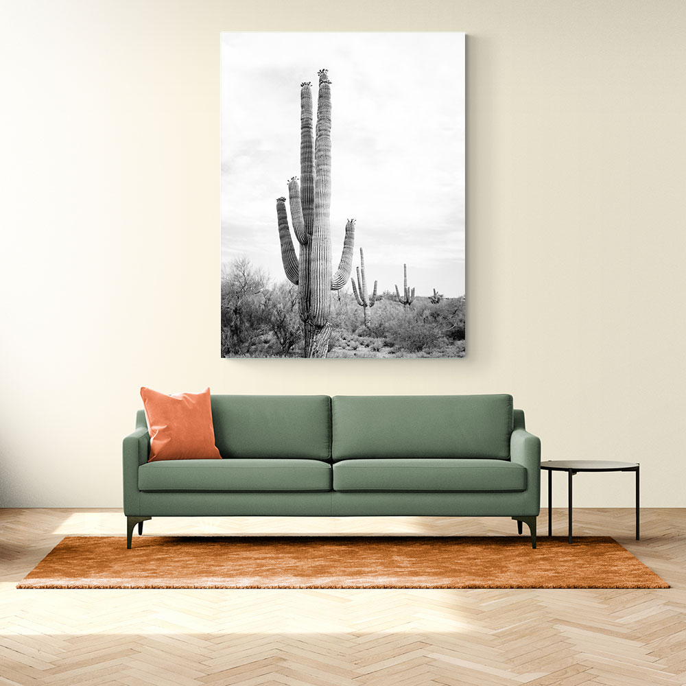 Saguaro BaW