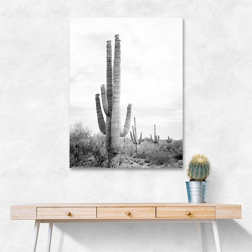 Saguaro BaW