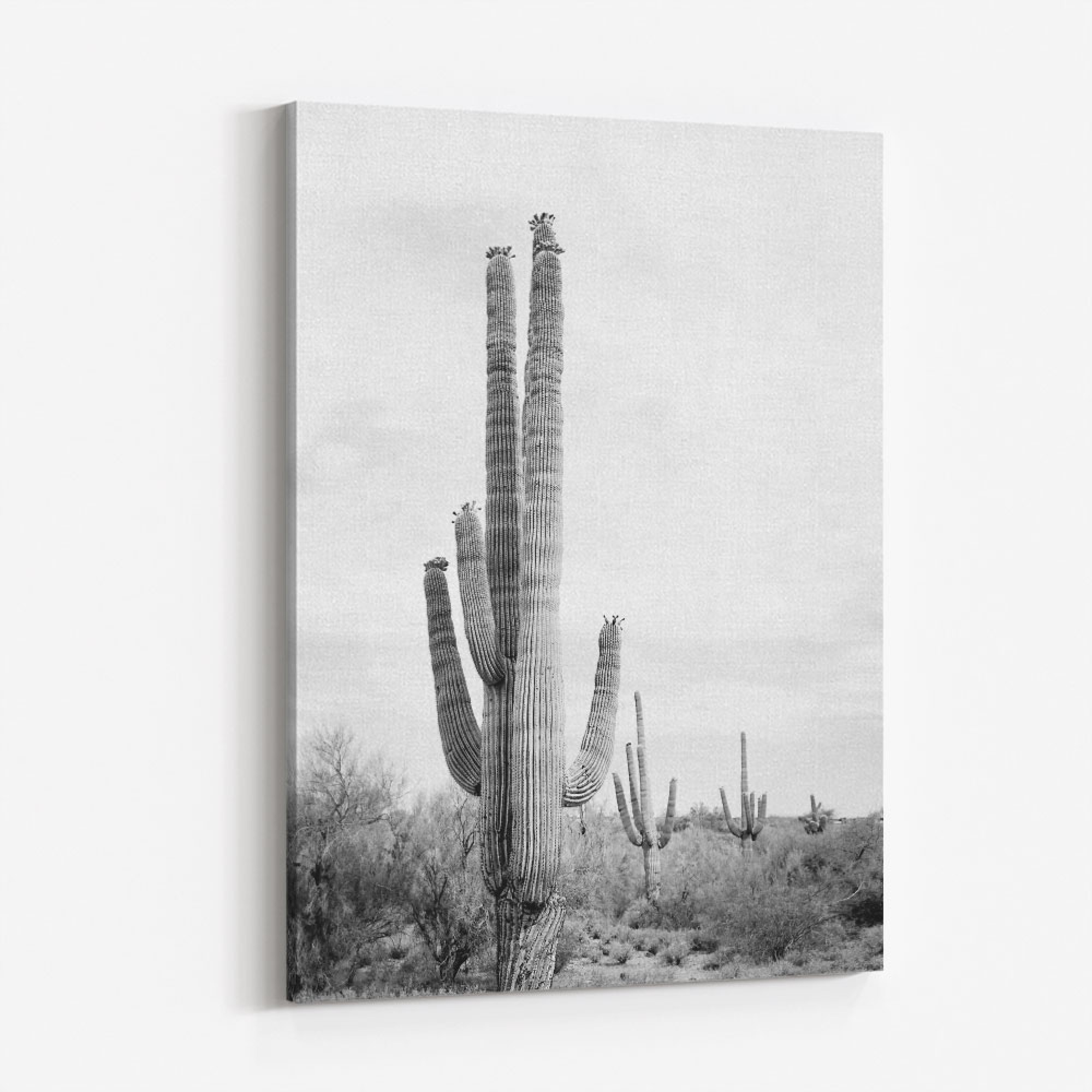 Saguaro BaW Wall Art