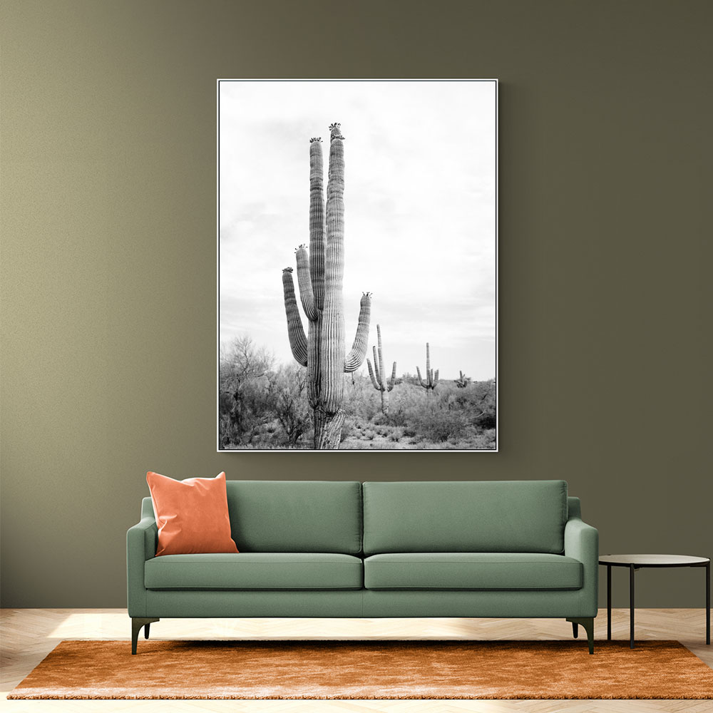 Saguaro BaW