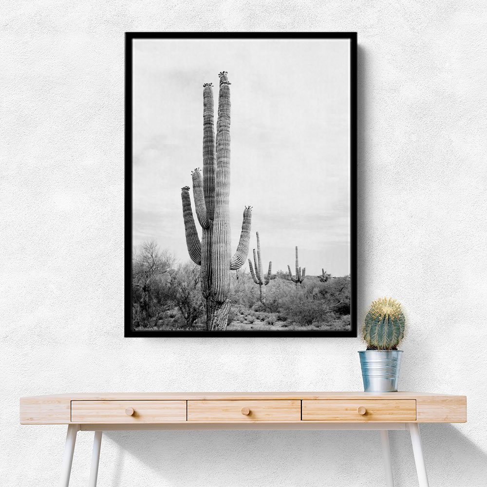 Saguaro BaW