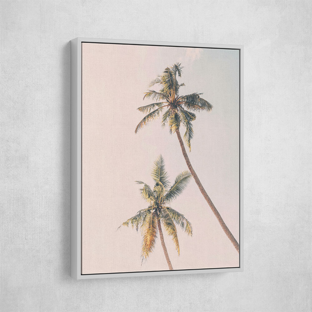 Tropical Palms