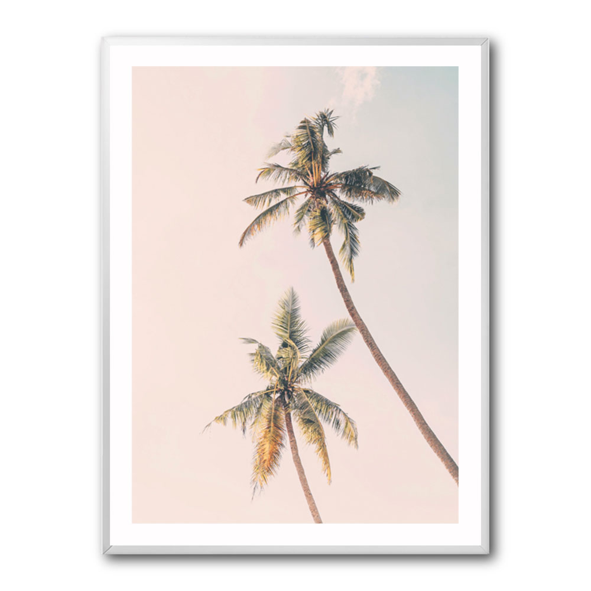 Tropical Palms Wall Art