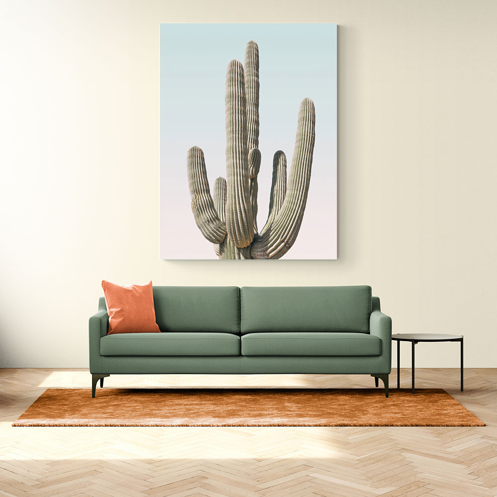 Saguaro