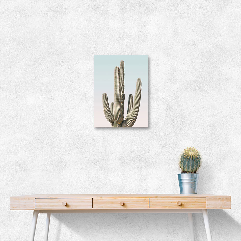 Saguaro