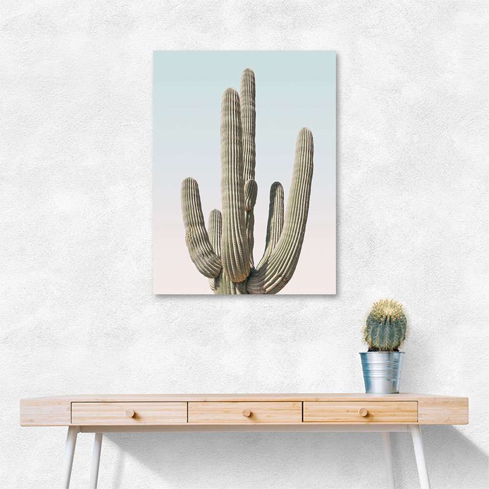 Saguaro