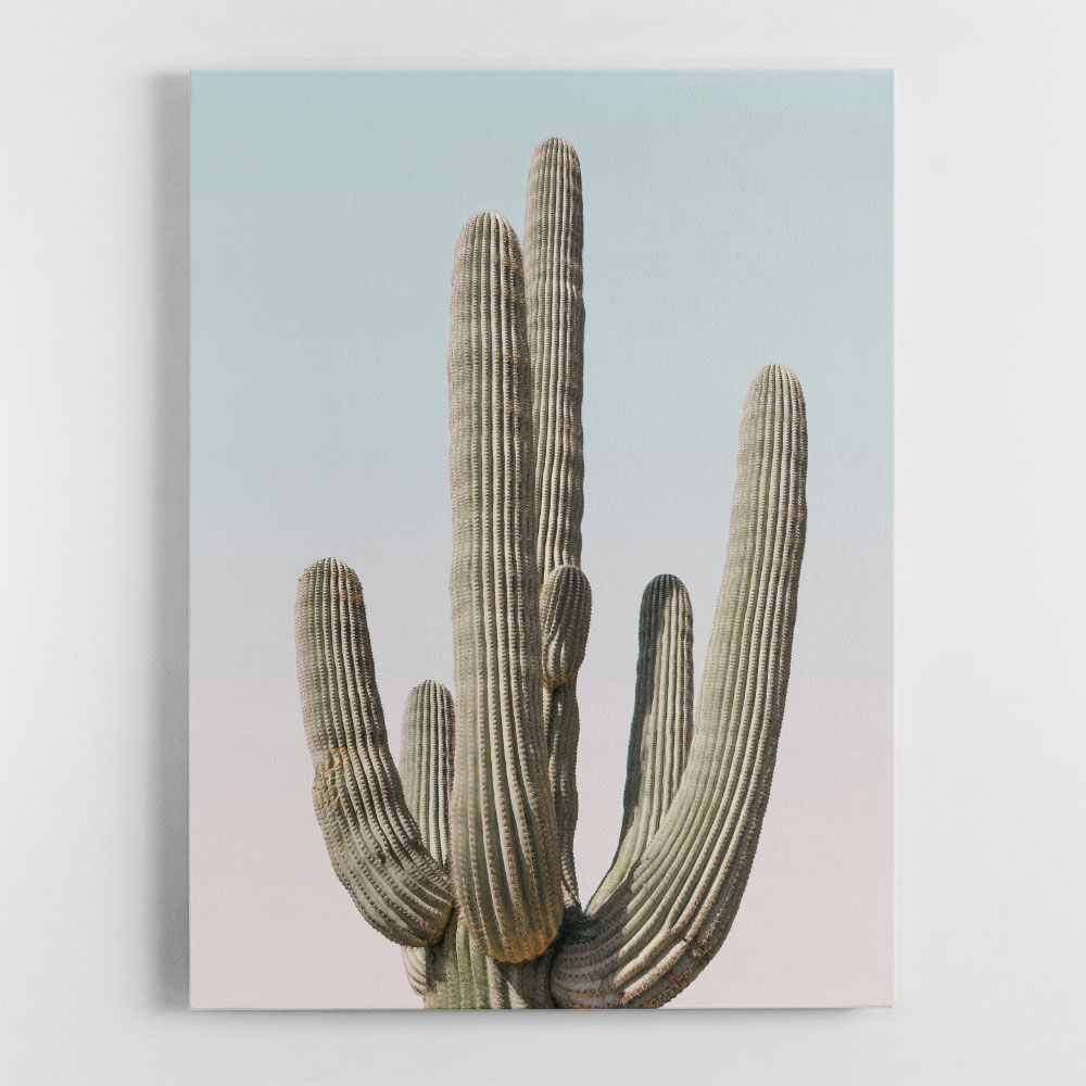 Saguaro