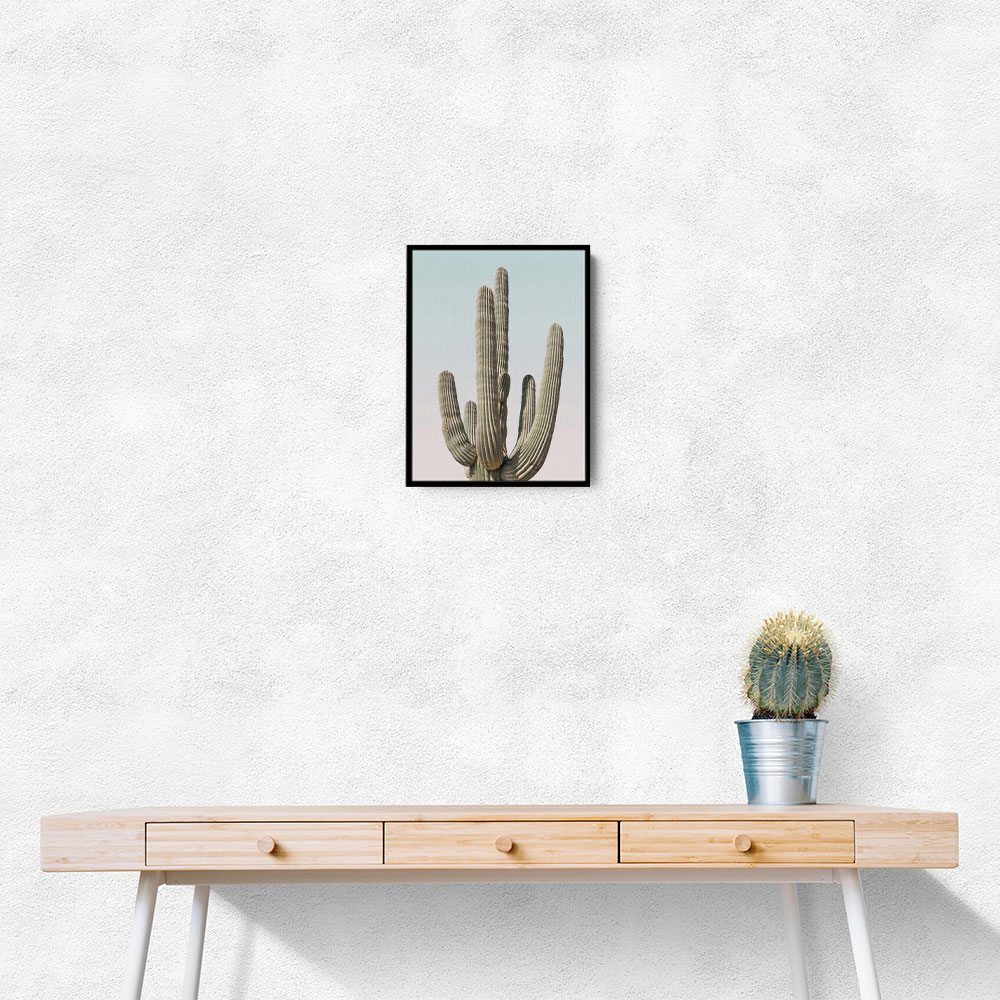 Saguaro