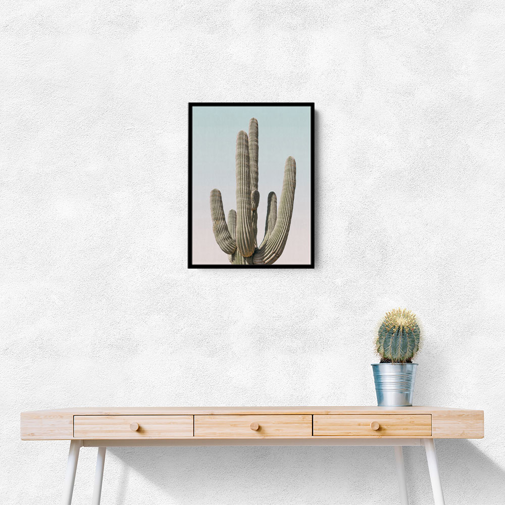 Saguaro