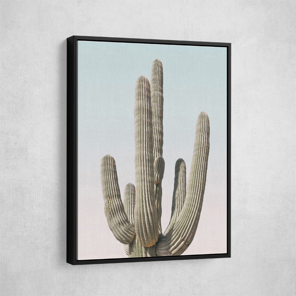 Saguaro